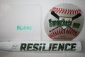 Anonymous RESILIENCE Limited Edition Senior Softball Bat Scobey 2025 13" HOT SSUSA