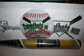 Easton Synergy Clarity SRV1B Fastpitch Softball Bat MINUS -10 NEW NIW HOT
